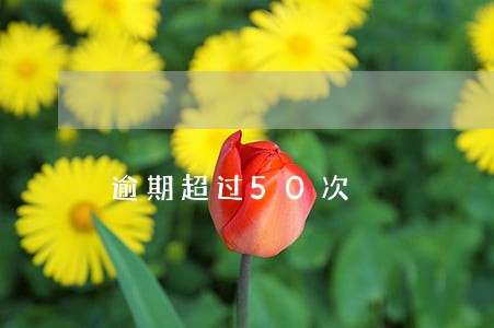逾期超过50次 逾期超过50次