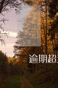 逾期超过5w 逾期超过5w