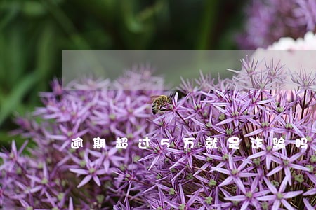 逾期超过5万就是诈骗吗 逾期超过5万就是诈骗吗