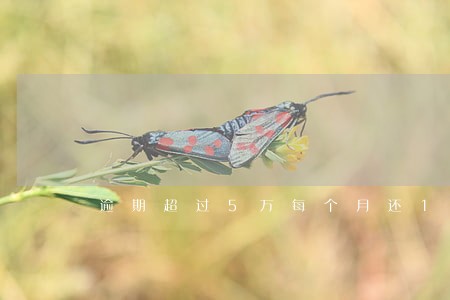 逾期超过5万每个月还100 逾期超过5万每个月还100