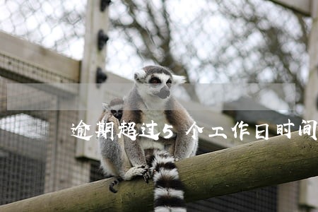 逾期超过5个工作日时间怎么算 逾期超过5个工作日时间怎么算