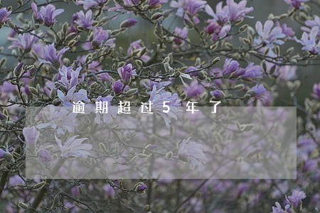 逾期超过5年了