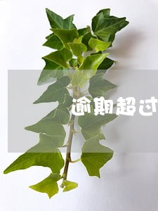 逾期超过5年纳税申报 逾期超过5年纳税申报