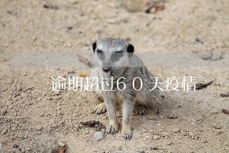 逾期超过60天疫情 逾期超过60天疫情