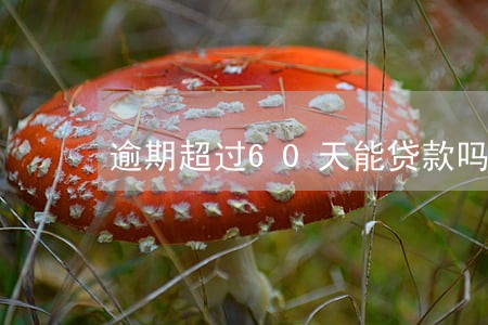 逾期超过60天能贷款吗 逾期超过60天能贷款吗
