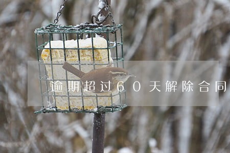 逾期超过60天解除合同 逾期超过60天解除合同