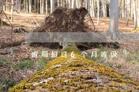 逾期超过6个月等级 逾期超过6个月等级