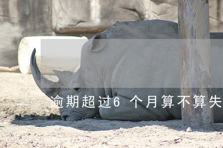 逾期超过6个月算不算失信 逾期超过6个月算不算失信