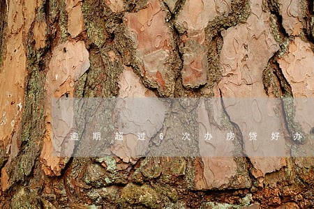 逾期超过6次办房贷好办吗 逾期超过6次办房贷好办吗