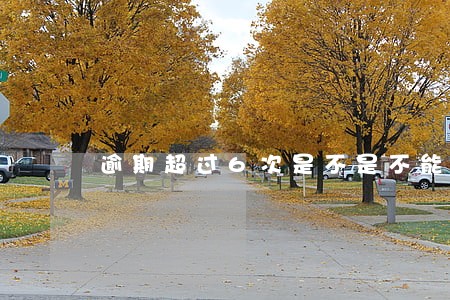 逾期超过6次是不是不能贷款 逾期超过6次是不是不能贷款