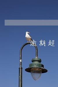 逾期超过700天怎么处理 逾期超过700天怎么处理
