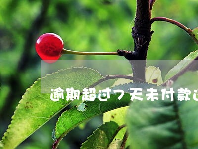 逾期超过7天未付款这句话 逾期超过7天未付款这句话