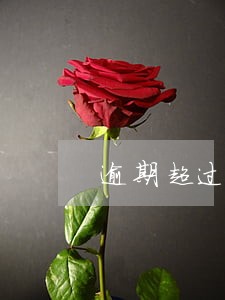 逾期超过8次怎么办 逾期超过8次怎么办