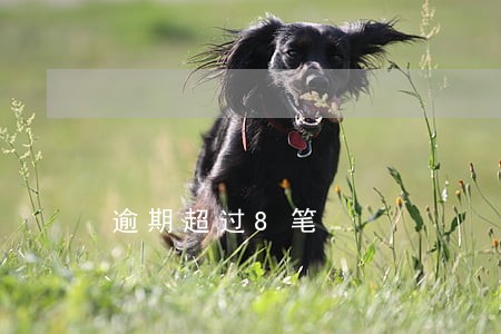 逾期超过8笔 逾期超过8笔