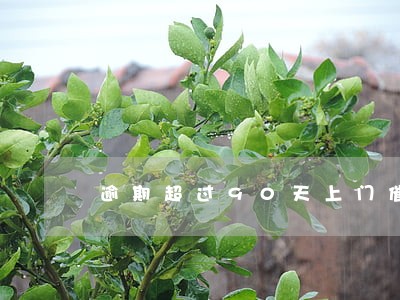 逾期超过90天上门催收 逾期超过90天上门催收
