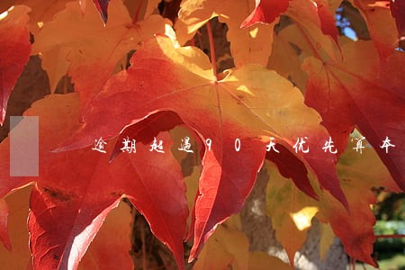 逾期超过90天优先算本金 逾期超过90天优先算本金