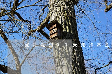 逾期超过90天先扣本金 逾期超过90天先扣本金