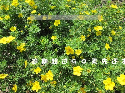 逾期超过90天先还本金 逾期超过90天先还本金