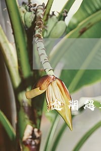 逾期超过90天可以贷款买车么