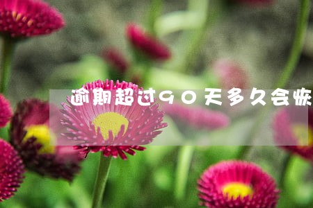 逾期超过90天多久会恢复 逾期超过90天多久会恢复