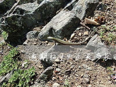 逾期超过90天多长时间恢复 逾期超过90天多长时间恢复