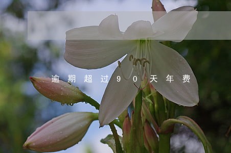 逾期超过90天年费 逾期超过90天年费
