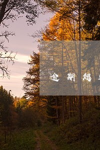 逾期超过90天应认定为 逾期超过90天应认定为
