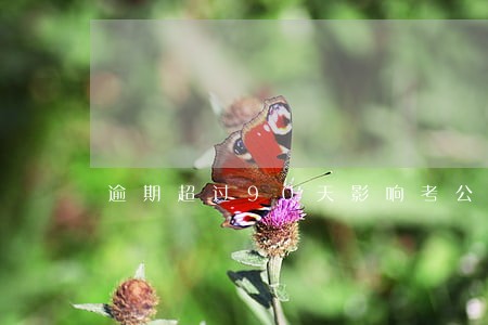 逾期超过90天影响考公吗 逾期超过90天影响考公吗