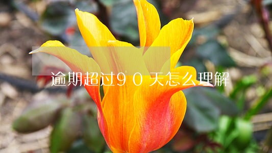 逾期超过90天怎么理解 逾期超过90天怎么理解