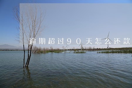 逾期超过90天怎么还款 逾期超过90天怎么还款