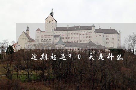 逾期超过90天是什么 逾期超过90天是什么
