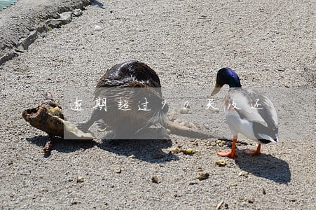 逾期超过90天没还 逾期超过90天没还