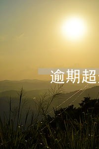逾期超过90天申请车贷