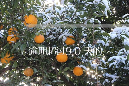 逾期超过90天的 逾期超过90天的