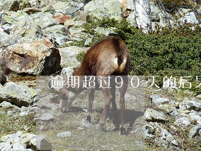 逾期超过90天的后果 逾期超过90天的后果