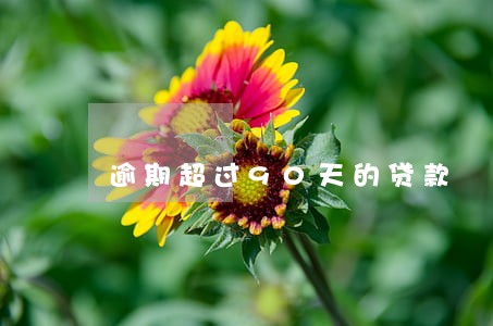 逾期超过90天的贷款 逾期超过90天的贷款