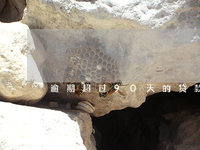 逾期超过90天的贷款计入 逾期超过90天的贷款计入