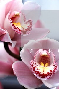 逾期超过90天结清销卡 逾期超过90天结清销卡