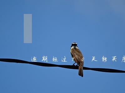 逾期超过90天能买房 逾期超过90天能买房