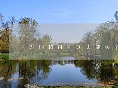 逾期超过90天能买房吗 逾期超过90天能买房吗