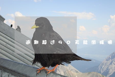 逾期超过90天能消除嘛 逾期超过90天能消除嘛