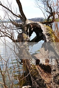 逾期超过90天解冻的希望大不大 逾期超过90天解冻的希望大不大