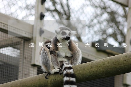 逾期超过90天说明意思 逾期超过90天说明意思