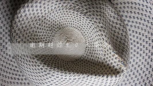 逾期超过90天贷款 逾期超过90天贷款