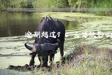 逾期超过90天贷款影响