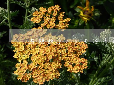 逾期超过90天还清后多久销记录 逾期超过90天还清后多久销记录