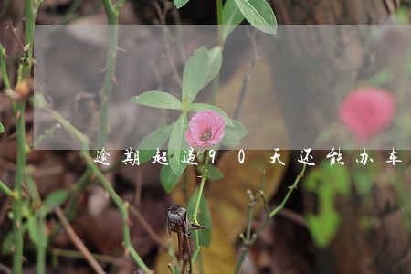 逾期超过90天还能办车贷吗 逾期超过90天还能办车贷吗