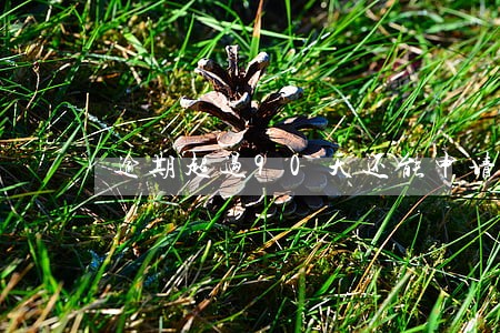 逾期超过90天还能申请信用卡吗 逾期超过90天还能申请信用卡吗