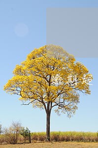 逾期超过90怎么贷款 逾期超过90怎么贷款