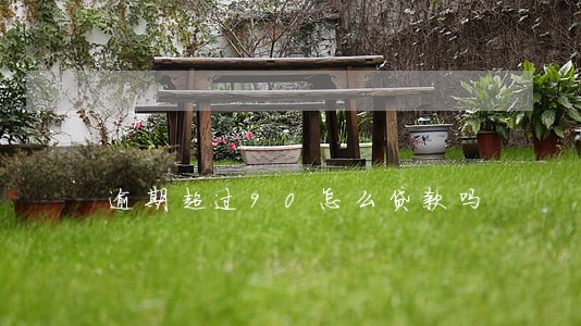 逾期超过90怎么贷款吗 逾期超过90怎么贷款吗